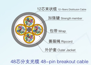 產(chǎn)品展示
